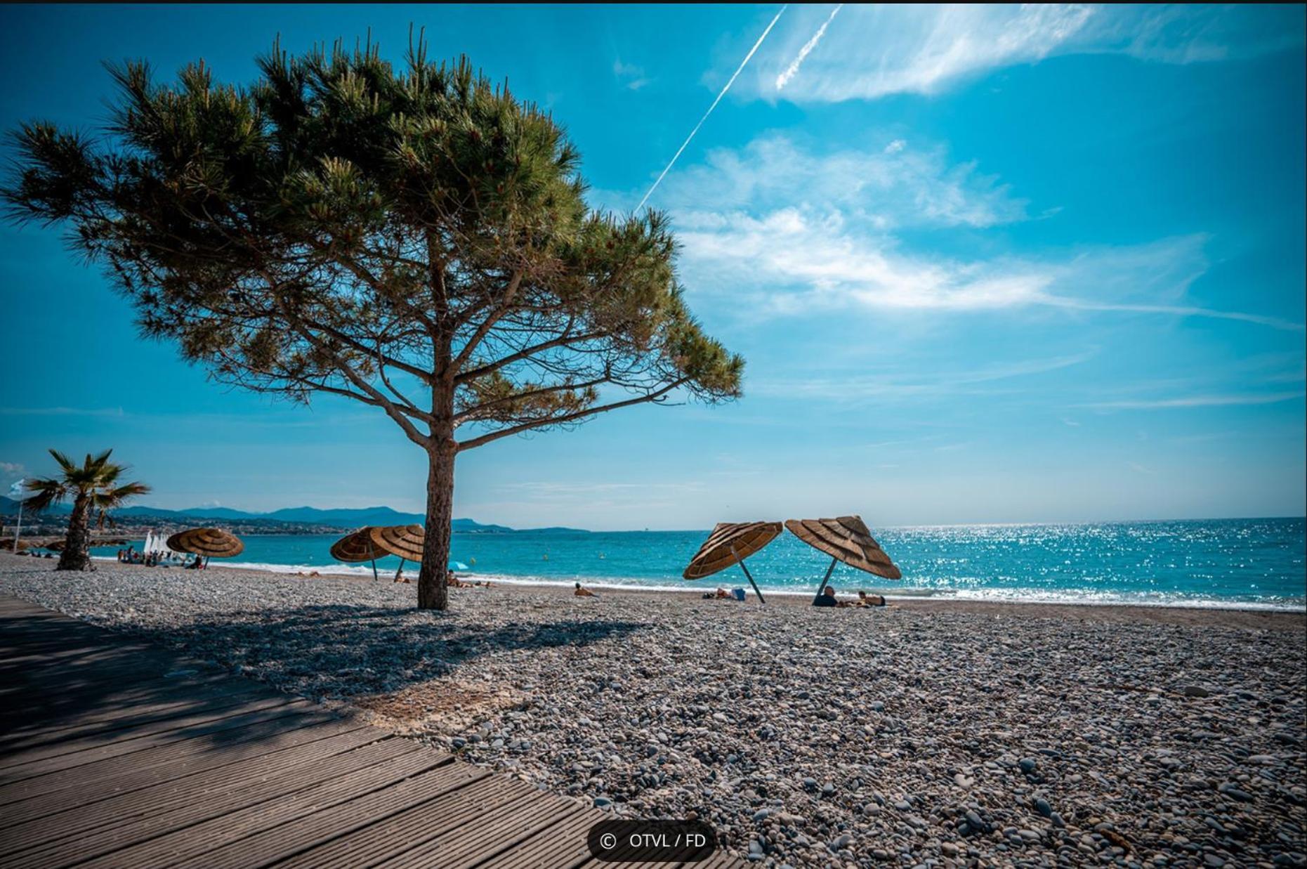2 Pieces Rez-De-Jardin Dans Maison Avec Piscine Villeneuve-Loubet Dış mekan fotoğraf